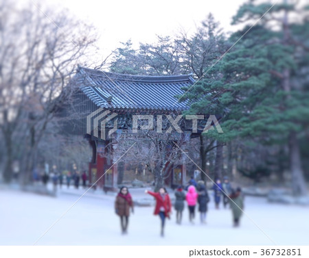blurred people spring korea 36732851