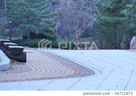 Street road in korea Street road in korea 36732873