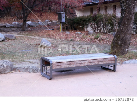 Bench in park korea Bench in park korea 36732878