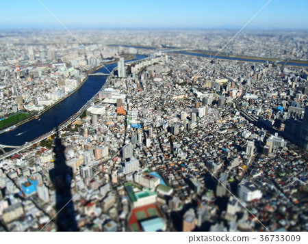 東京天空樹 東京天空樹 36733009