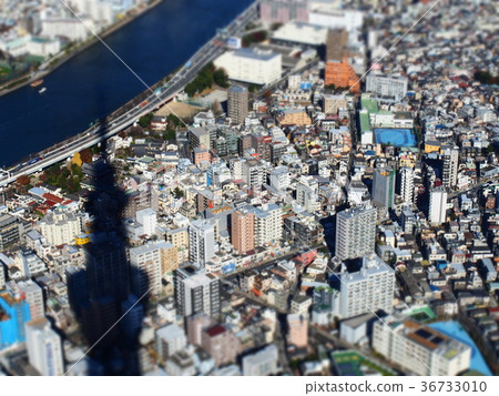 Tokyo Sky Tree 36733010