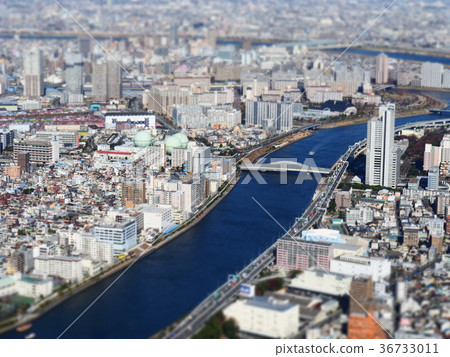 東京天空樹 東京天空樹 36733011