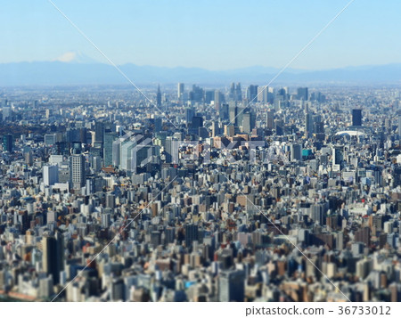 東京天空樹 東京天空樹 36733012