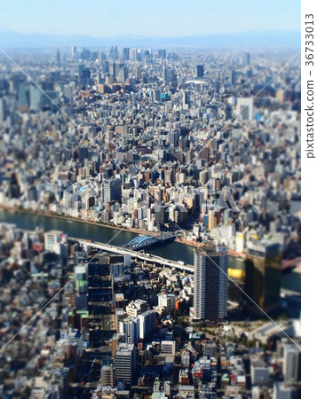 東京天空樹 36733013