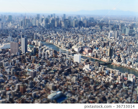 東京天空樹 東京天空樹 36733014