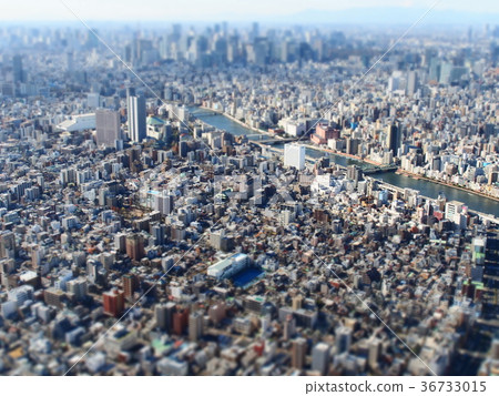 東京天空樹 東京天空樹 36733015