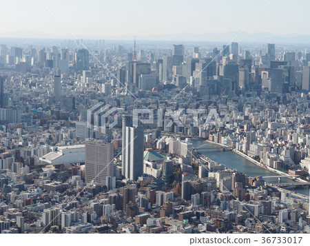 東京天空樹 36733017