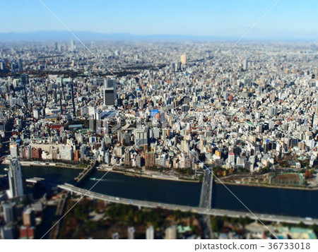 東京天空樹 東京天空樹 36733018