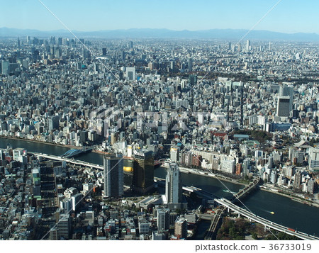 東京天空樹 36733019