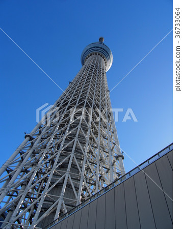 東京天空樹 東京天空樹 36733064