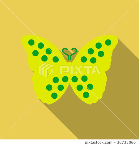 Colorful abstract watercolor butterfly on a white Colorful abstract watercolor butterfly on a white 36733066