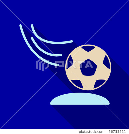 Soccer ball icon. Soccer ball Vector isolated on Soccer ball icon. Soccer ball Vector isolated on 36733211