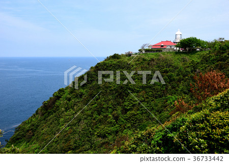 從Jizozaki(Mihoseki燈塔)停車場觀景台的Mihoseki燈塔 從Jizozaki(Mihoseki燈塔)停車場觀景台的Mihoseki燈塔 36733442