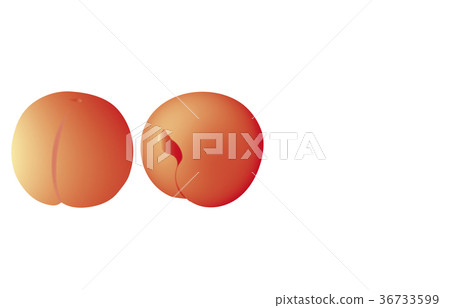 Various fruits Various fruits 36733599