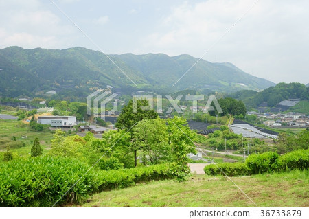 清爽的日本夏天5月1日 36733879