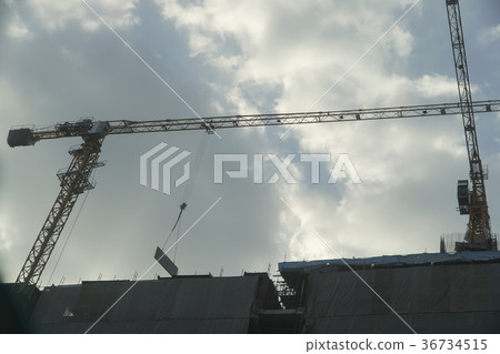 Construction cranes are under shade of light 36734515