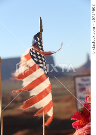 American flag on canyon background 36734608
