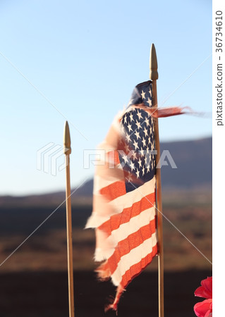 Flag of the United States on canyon background 36734610