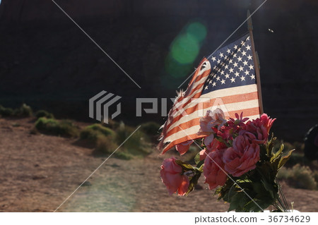 American flag and flowers 36734629