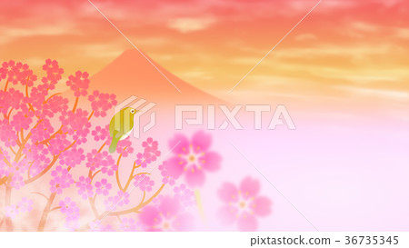 櫻花(47) 櫻花(47) 36735345