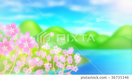 櫻花（48） 36735346