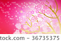 Cherry blossoms (68) 36735375