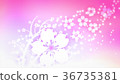Cherry blossoms (70) 36735381