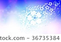 Cherry blossoms (71) 36735384