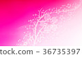Cherry blossoms (75) 36735397