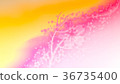 Cherry blossoms (76) 36735400