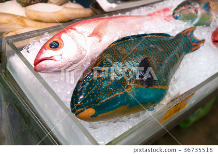 colorful fresh fish on ice in seafood market. colorful fresh fish on ice in seafood market. 36735518
