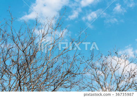 sky and nature sky and nature 36735987