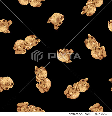 Cute dog pattern Cute dog pattern 36736825