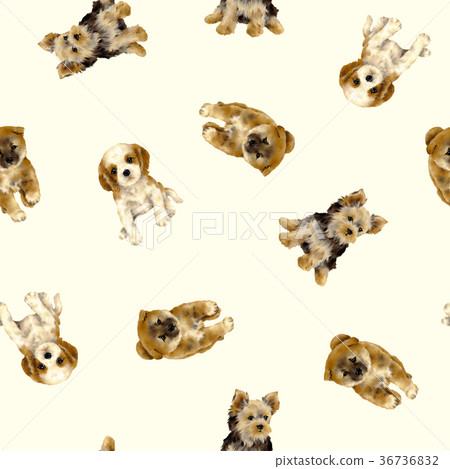 Cute dog pattern Cute dog pattern 36736832