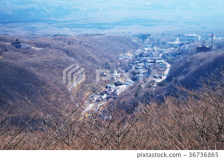 那須溫泉鎮全景 36736865