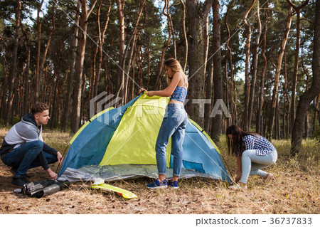 Hiker girls prepare tent nature tourism concept 36737833
