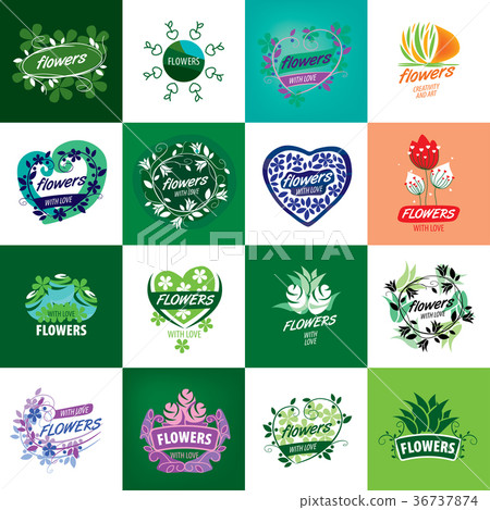 flower vector logo flower vector logo 36737874