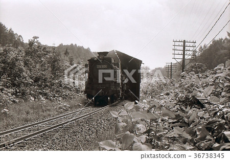 1959年函館幹線D51拖車貨運北海道 36738345