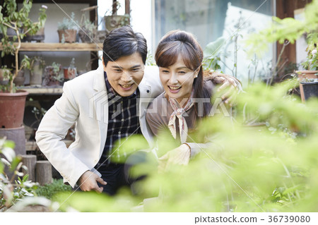 Couple, husband, wife, date 36739080
