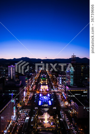 從電視塔的札幌都市風景夜視圖 36739666