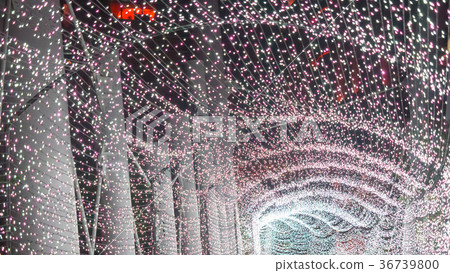 Christmas decoration 36739800