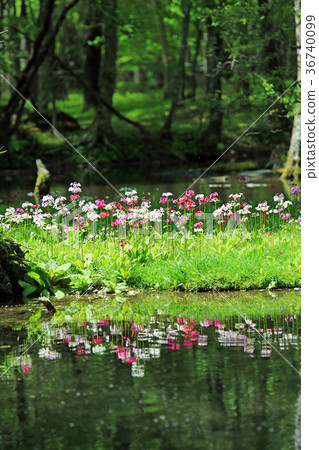 Clinko arable group 03 Clinko arable group 03 36740099