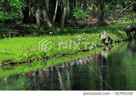 Klinso Cluster 04 36740100