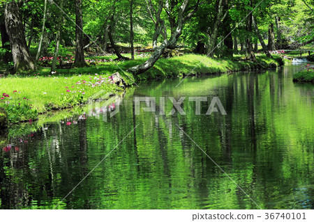 Klinso group 05 Klinso group 05 36740101