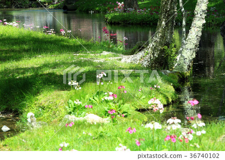 Clinso group 06 36740102