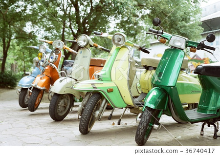 閃亮年代 36740417