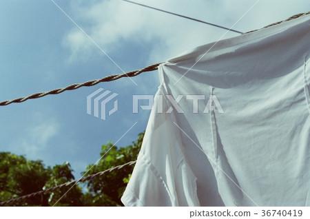 Fresh and bright 36740419