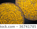 Yellow silkworm cocoon in basket from bamboo 36741785
