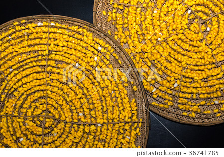 Yellow silkworm cocoon in basket from bamboo Yellow silkworm cocoon in basket from bamboo 36741785