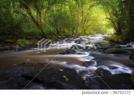 Pha Kluai Mai water in Khao Yai National Park 36742172